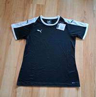 Neues Puma T Shirt  Gr L neu mit Etikett Bayern - Hösbach Vorschau
