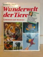 Wunderwelt der Tiere, Geheimnis und Abenteuer Nordrhein-Westfalen - Schwelm Vorschau