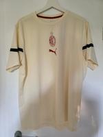 Puma AC Mailand Prematch Trikot 2021/2022 Gr. L NEU Brandenburg - Zossen-Waldstadt Vorschau