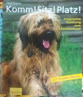 Falken Hunde-Erziehungs-Ratgeber Buch wie neu ! Rheinland-Pfalz - Waldorf Kr Ahrweiler Vorschau