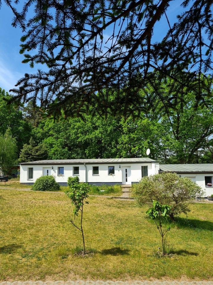 Ferienhaus am See mit Steg, Motorboot, E- Bikes, Paddelboote, SUP in Rheinsberg