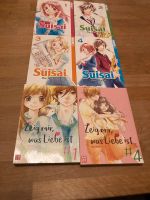 Suisai Manga 6 Stück sehr guter Zustand Hessen - Rimbach Vorschau