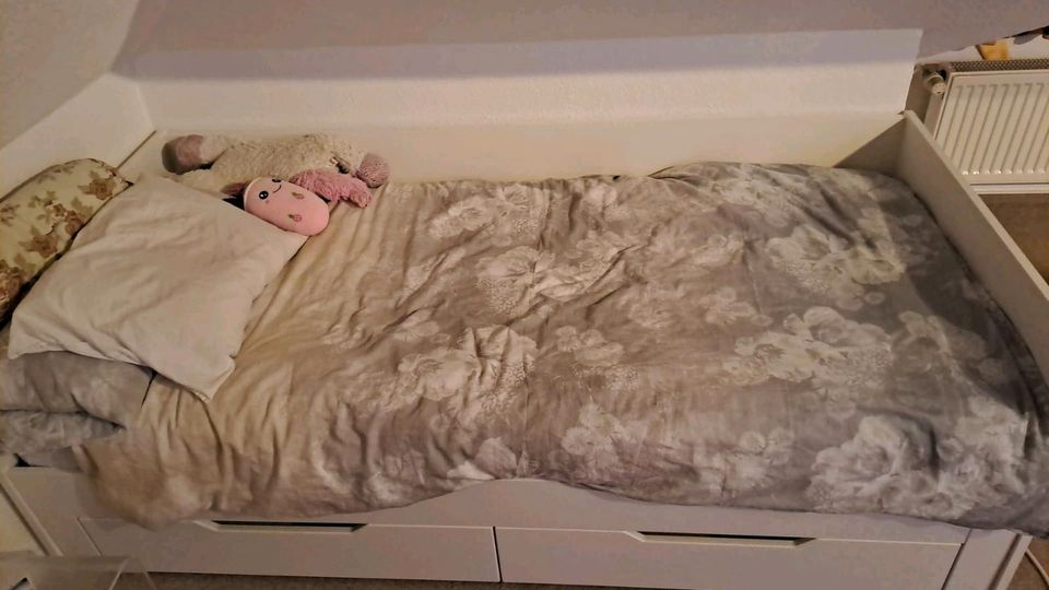 Kinder doppelt Bett in Pattensen