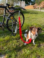 Hunde-Abstandshalter Fahrrad Bayern - Leiblfing Vorschau