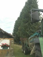 Sturmschäden,Baumfällung, Baufeldräumung, Rodungen Baden-Württemberg - Erbach Vorschau