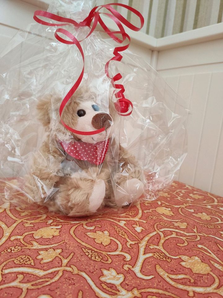 Teddybär ca 12 cm, sitzend, Neu, mit rotem Halstuch in Fulda