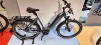 RÄUMUNGSVERKAUF Velo de Ville LEB490 Sport 55cm Hamburg-Nord - Hamburg Winterhude Vorschau