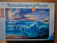 Puzzle 3000 NEU in Folie Ravensburger Baden-Württemberg - Backnang Vorschau