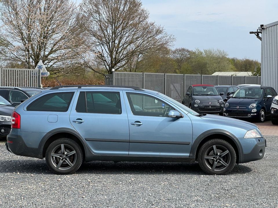 Skoda Octavia Combi Scout 4X4 Xenon in Flensburg