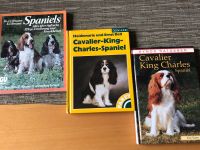 Cavalier King Charles Spaniel BÜCHER Nordrhein-Westfalen - Wegberg Vorschau