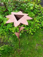 Dekoblume Rost Garten Bepflanzung Baden-Württemberg - Allmendingen Vorschau