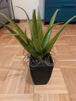 Künstliche Pflanze Aloe Vera Essen - Rüttenscheid Vorschau