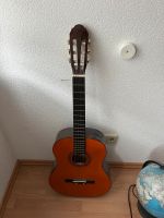 Gitarre braun Baden-Württemberg - Magstadt Vorschau