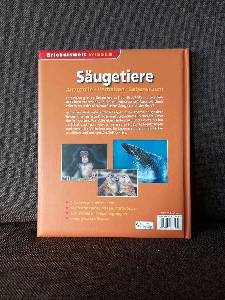 Säugetiere, Erlebniswelt Wissen in Friedrichshafen