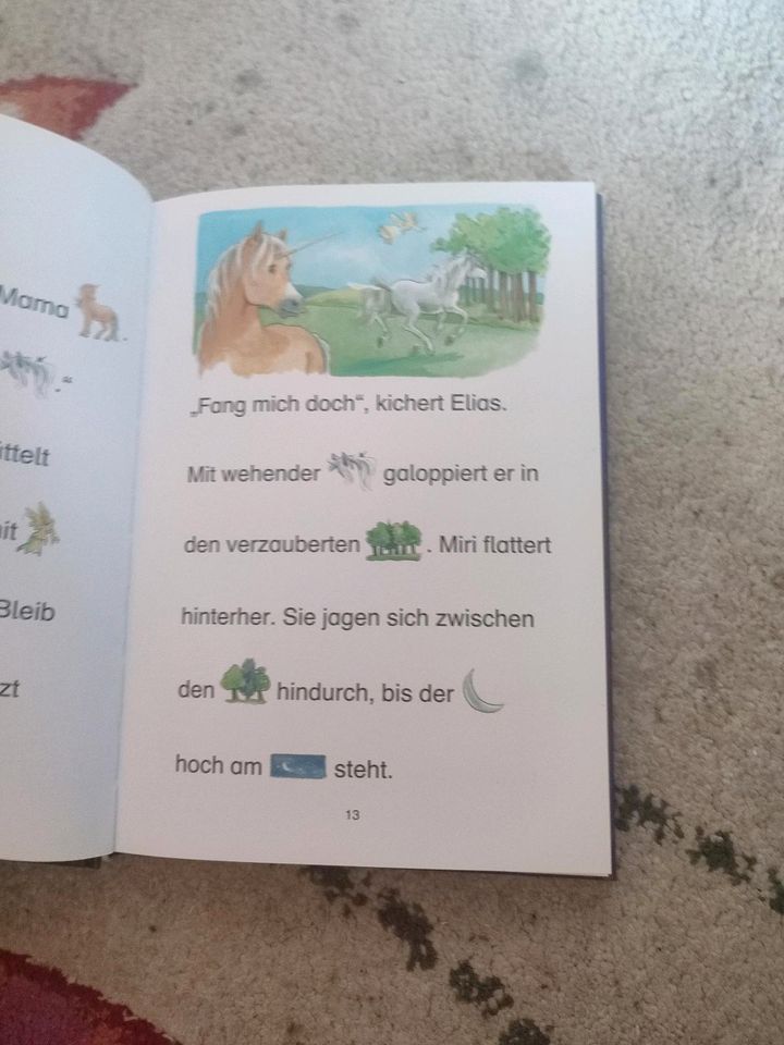 Buch" Lesen-lernen" in Vettweiß