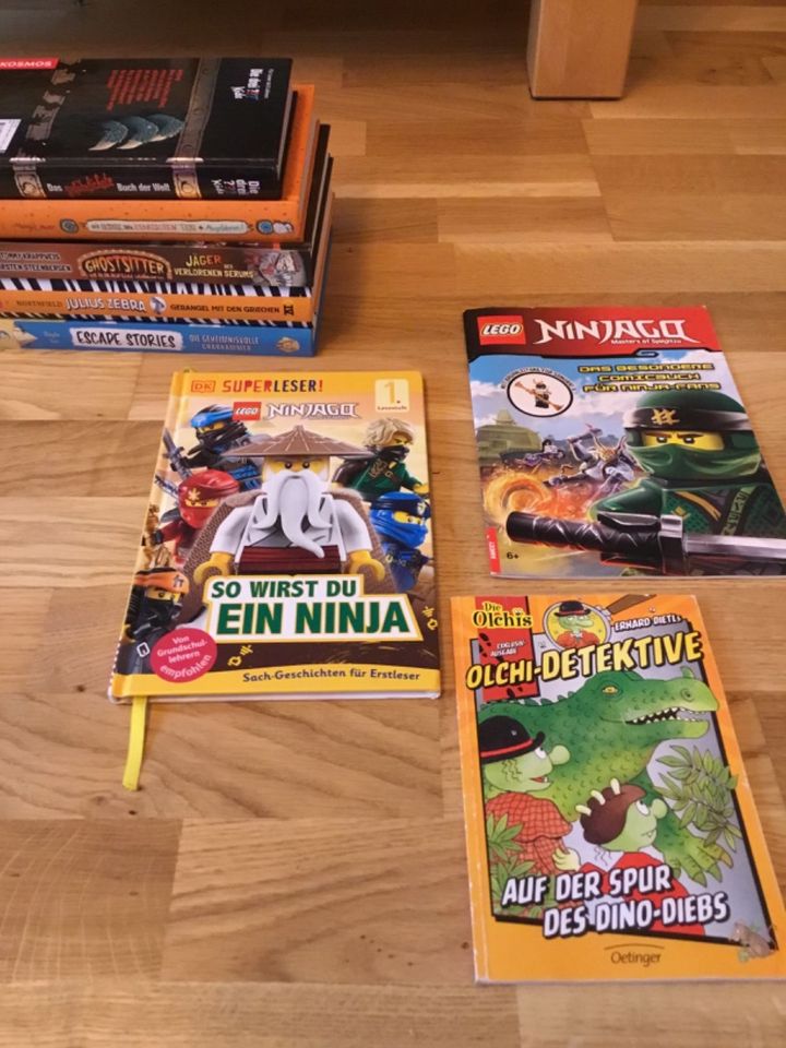 Kinderbücher wie Schule der magischen Tiere… in Altlandsberg