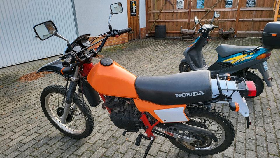 Honda XL 250 in Wiesenaue