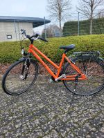 Fahrrad, MAXX, neuwertig Rheinland-Pfalz - Erpel Vorschau