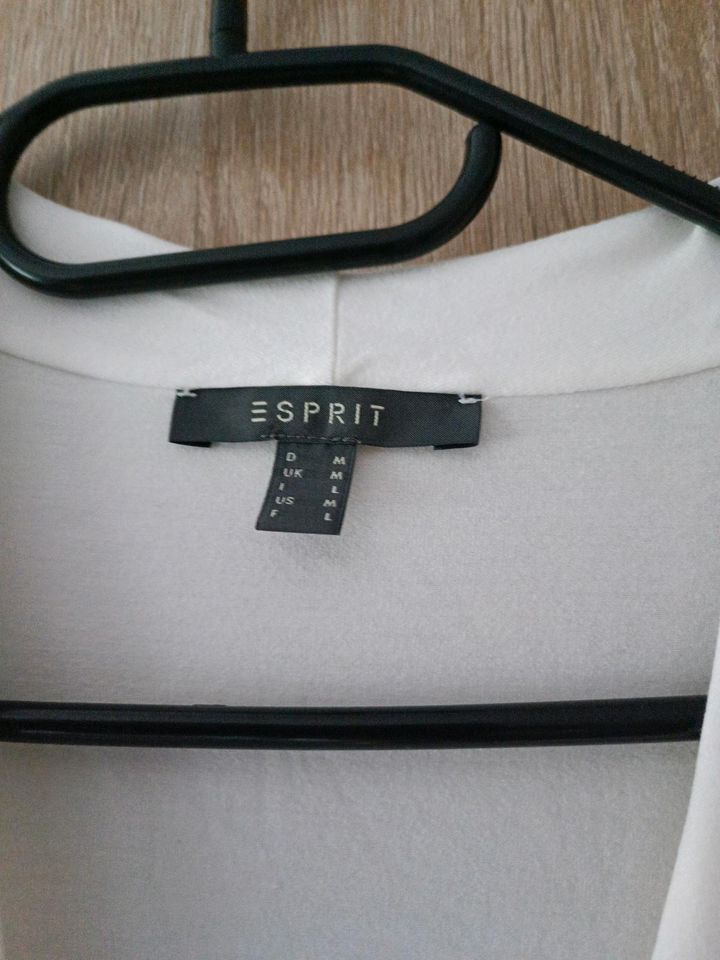 Langarm Shirt von Esprit Gr.M in Oldenburg