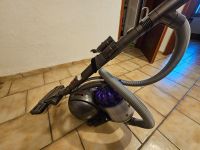 Dyson DC 37 Allergy Musclehead Parquet Bayern - Wallerstein Vorschau