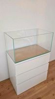 80x48x40 Aquarium Weißglas 150l Meerwasser Aquascape IKEA Malm Niedersachsen - Bad Nenndorf Vorschau