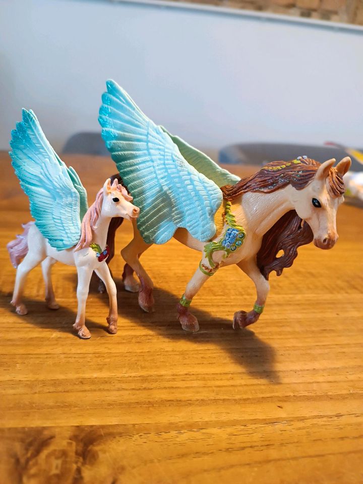 Schleich Bayala 70574 - Schmuckpegasus Hengst 70575 Fohlen Pferd in Hohenthurm