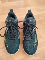 Sportschuh Mizuno Ghost Shadow indoor Gr. 7 / 40,5 Wandsbek - Hamburg Wellingsbüttel Vorschau