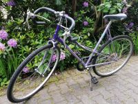 Rennrad Randonneur Vintage Oldtimer Halbrenner Unisex Fahrrad Nordrhein-Westfalen - Recklinghausen Vorschau