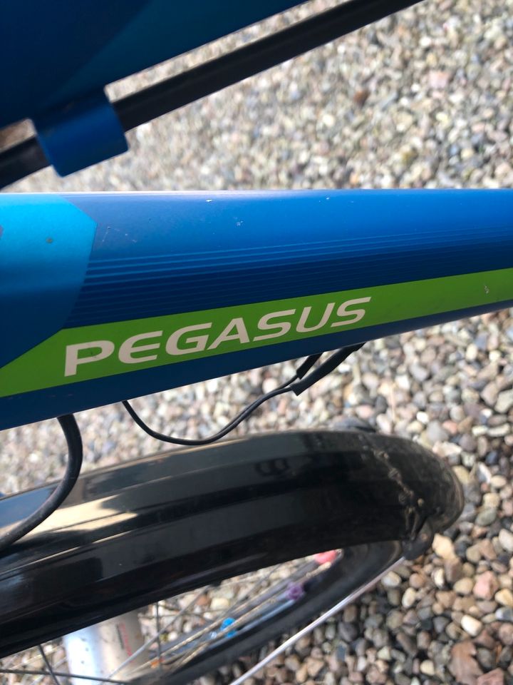 Fahrrad 20 Zoll Pegasus in Waabs