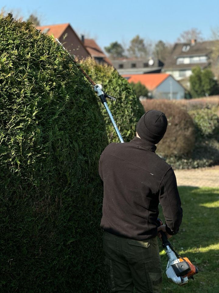 Heckenpflege ist gleich Heckenschnitt. Wir schneiden Ihre Hecke! in Hattorf am Harz