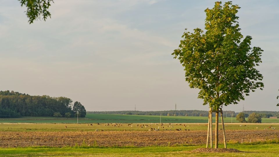 Gemütliche Wohnung mit großem Wohnbereich, 2 halben Zimmern und Schlaf-Dachboden in Beetzseeheide