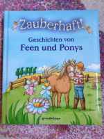 Zauberhaft Geschichten von Feen und Ponys gondolino Buch Bayern - Coburg Vorschau