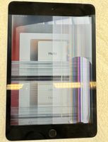 iPad mini 4 Display defekt Brandenburg - Großbeeren Vorschau