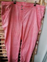 24 48 50 Gina Laura Lachs Koralle Stretchhose Hannover - Döhren-Wülfel Vorschau