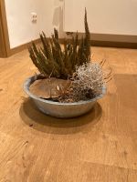Schöne runde Topfpflanzen aus Metall Nordrhein-Westfalen - Kerpen Vorschau