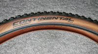 2 x Continental Black Chilli Racesport 29er Hamburg-Mitte - Hamburg Borgfelde Vorschau