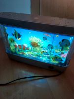 Aquarium Lampe Hessen - Bad Wildungen Vorschau