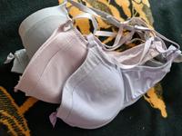 3x BH 80B flame rosa/flieder/grau Damen Thüringen - Gera Vorschau