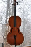 Violoncello, 3/4 Meistercello von Werner Hartwig Bayern - Gauting Vorschau