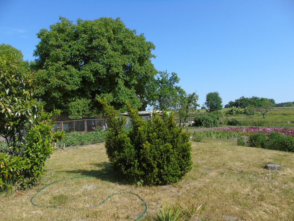 wunderschöner 3 Seiten Hof bei Gransee in Oranienburg