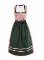 Naber Collection Dirndl 2-teilig Größe 40 Sachsen-Anhalt - Hecklingen Vorschau