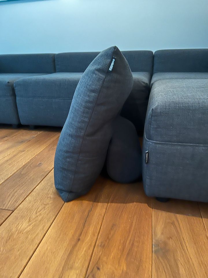 Freistil Rolf Benz - Sofa / Couch 147 in Düsseldorf