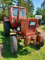 Verkaufe Traktor mit Anhänger und Anbaugeräten Mecklenburg-Vorpommern - Zarnekow Vorschau