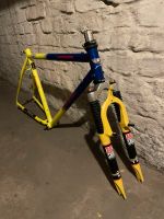 Rahmen American eagle Mountainbike 26 Zoll Ritchey stahl Dortmund - Innenstadt-West Vorschau