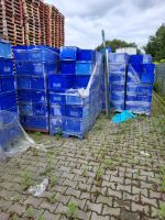 Kunststoffkisten, blau Nordrhein-Westfalen - Gescher Vorschau