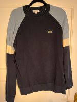 Lacoste Strick Pullover Berlin - Pankow Vorschau