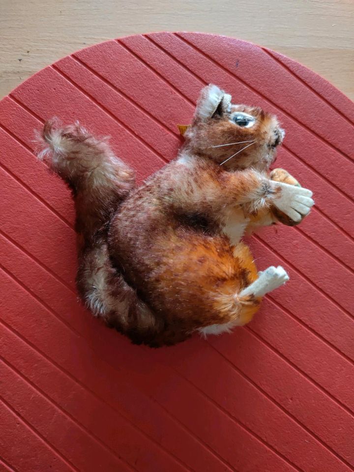 Steiff Tier Perri Disney Eichhörnchen, rar selten 70er Mohair in Würselen