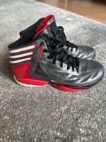 Adidas Crazy Light 3 Basketballschuhe Bayern - Rauhenebrach Vorschau