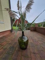 Weinballon grün Höhe 43cm Ø26cm Glas Niedersachsen - Holzminden Vorschau