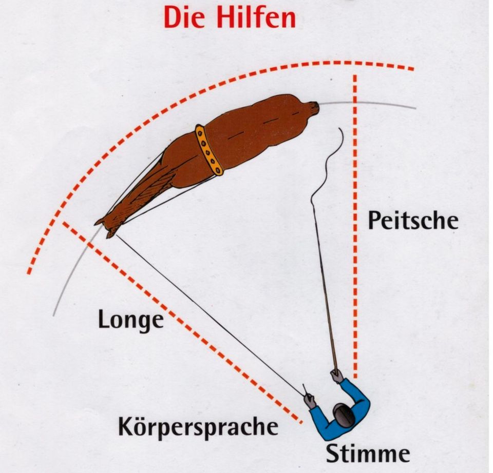 Longieren /Doppellonge/Abzeichenlehrgang LA 5 und 4 (FN) in Neustadt (Dosse)